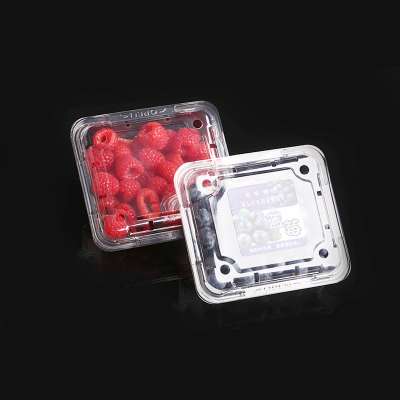 Clamshell Fruit Mulberry Plastic Container Raspberry 125 G Blueberry Boxes For Packaging